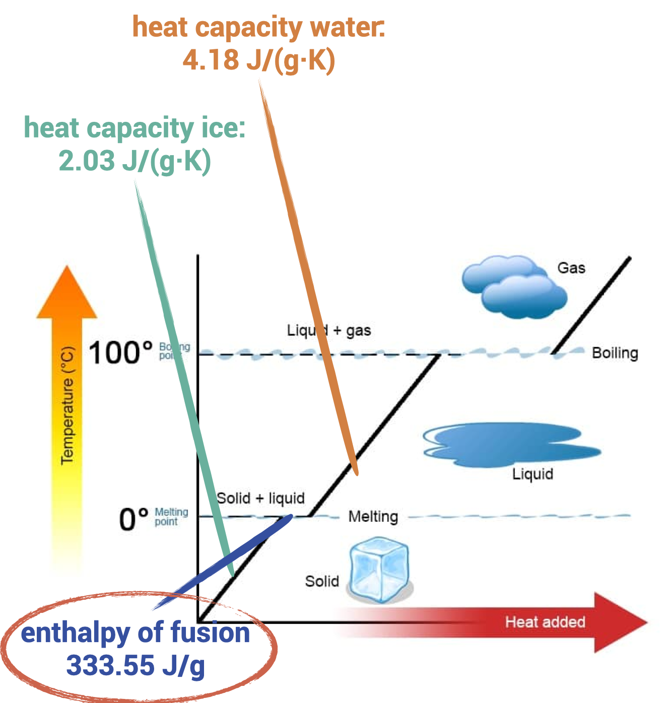 Heat diagram of water. The melting of ice is the determining factor in the chilling of cocktails.